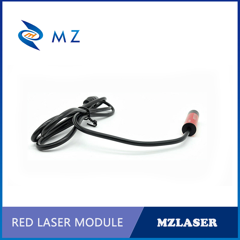 635nm 5mw 산업용 다이오드 조절 가능한 초점 레 - Industrial Laser Pointer 리뷰 및 가격